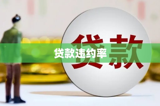 永宁贷款违约率