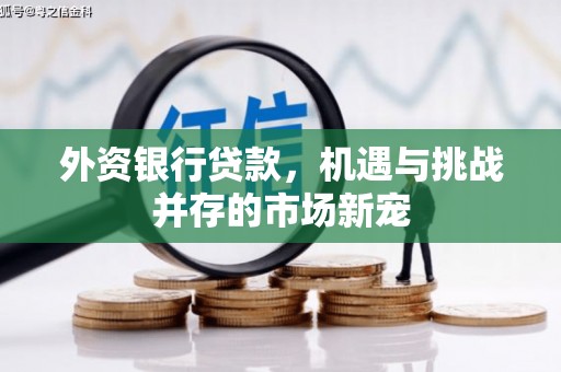 永宁外资银行贷款，机遇与挑战并存的市场新宠