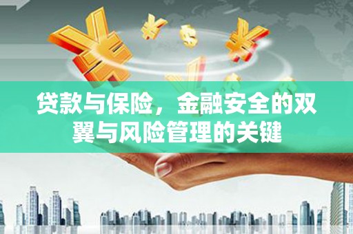 永宁贷款与保险，金融安全的双翼与风险管理的关键