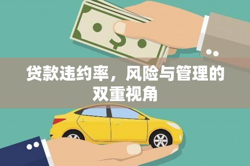 永宁贷款违约率，风险与管理的双重视角