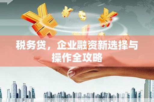 永宁税务贷，企业融资新选择与操作全攻略