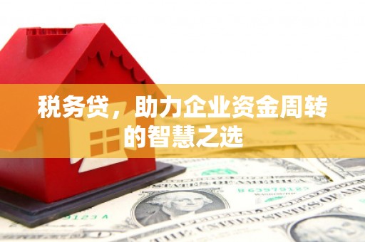 永宁税务贷，助力企业资金周转的智慧之选