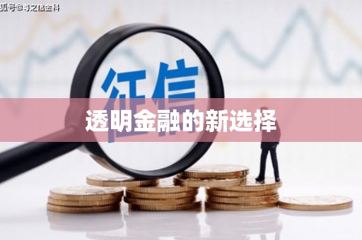 永宁透明金融的新选择