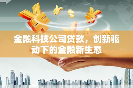 永宁金融科技公司贷款，创新驱动下的金融新生态