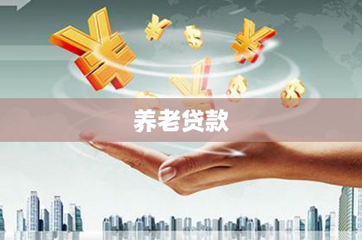 永宁养老贷款