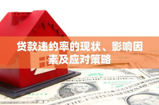 永宁贷款违约率的现状、影响因素及应对策略