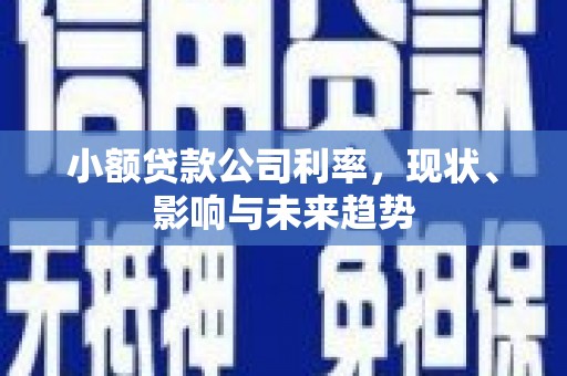 永宁小额贷款公司利率，现状、影响与未来趋势