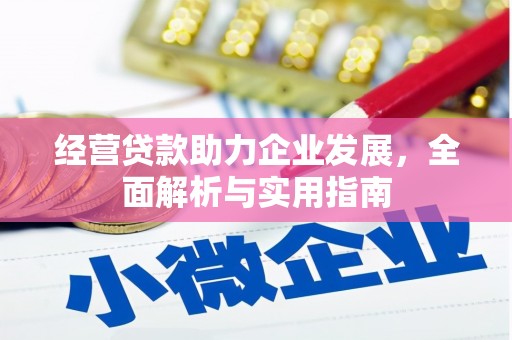 永宁经营贷款助力企业发展，全面解析与实用指南