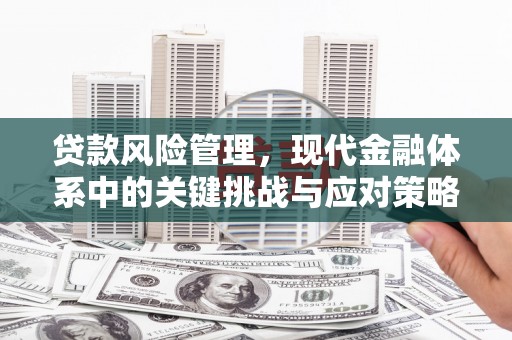 永宁贷款风险管理，现代金融体系中的关键挑战与应对策略