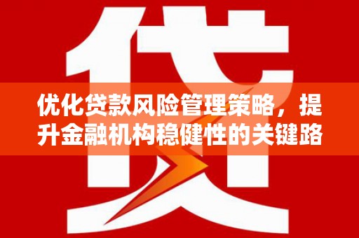 永宁优化贷款风险管理策略，提升金融机构稳健性的关键路径