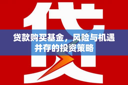 永宁贷款购买基金，风险与机遇并存的投资策略
