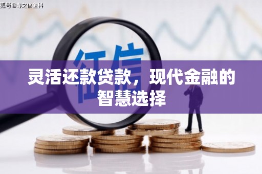 永宁灵活还款贷款，现代金融的智慧选择