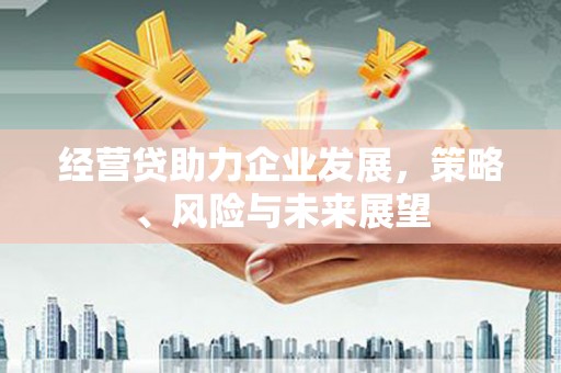 永宁经营贷助力企业发展，策略、风险与未来展望