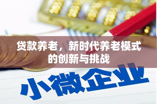 永宁贷款养老，新时代养老模式的创新与挑战
