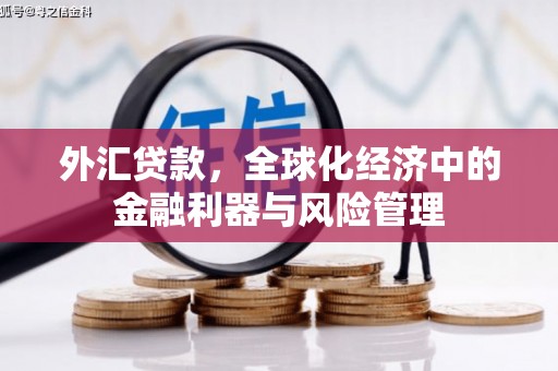 永宁外汇贷款，全球化经济中的金融利器与风险管理