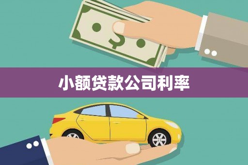 永宁小额贷款公司利率