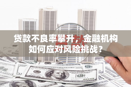 永宁贷款不良率攀升，金融机构如何应对风险挑战？