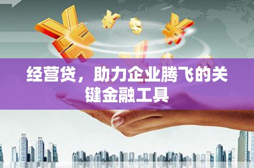 永宁经营贷，助力企业腾飞的关键金融工具