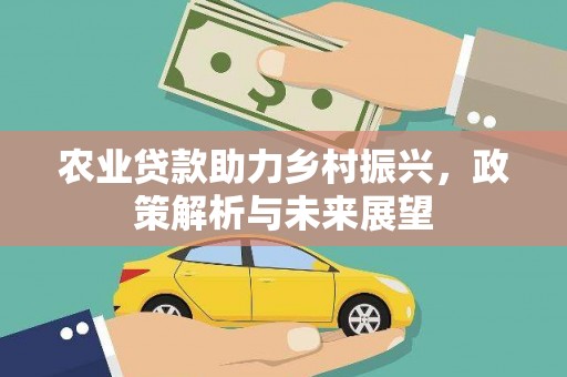 永宁农业贷款助力乡村振兴，政策解析与未来展望
