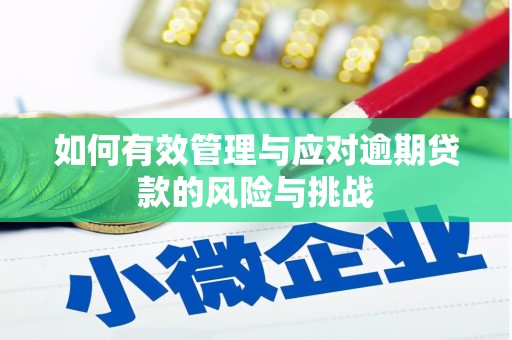 永宁如何有效管理与应对逾期贷款的风险与挑战