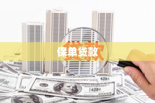 永宁保单贷款