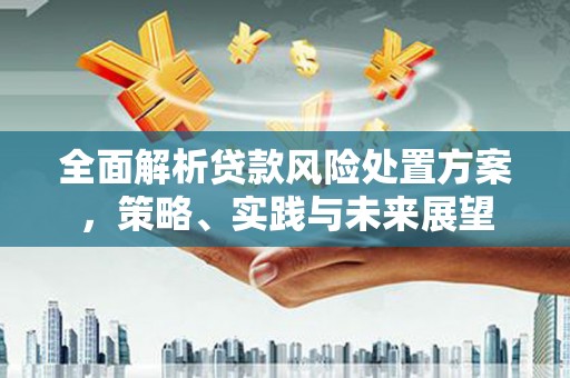 永宁全面解析贷款风险处置方案，策略、实践与未来展望