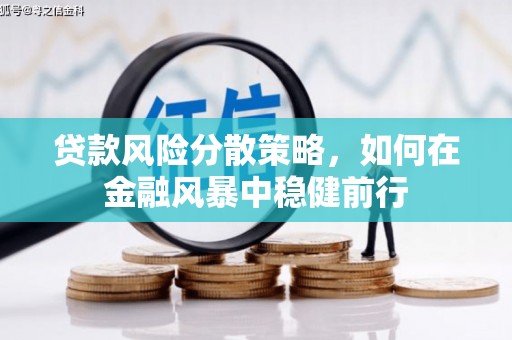 永宁贷款风险分散策略，如何在金融风暴中稳健前行