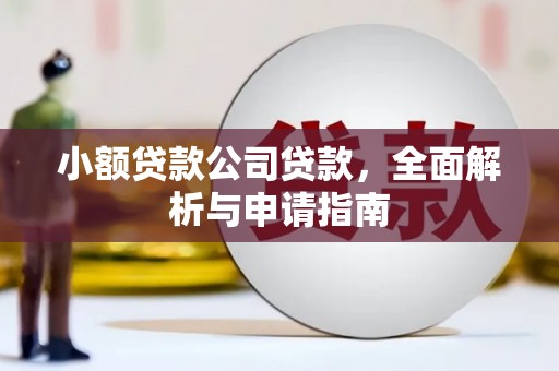 永宁小额贷款公司贷款，全面解析与申请指南