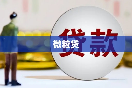 永宁微粒贷