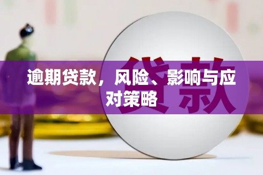 永宁逾期贷款，风险、影响与应对策略