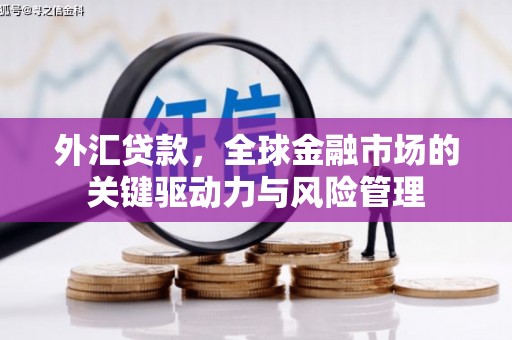 永宁外汇贷款，全球金融市场的关键驱动力与风险管理