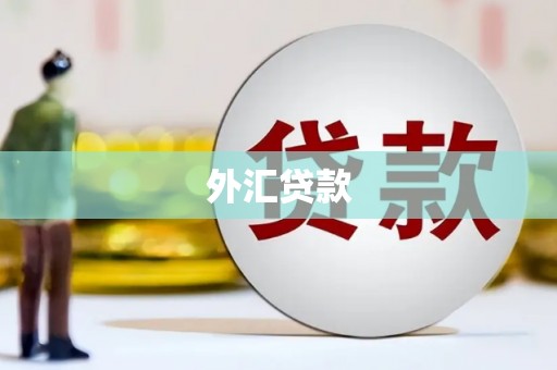 永宁外汇贷款