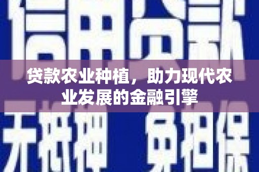 永宁贷款农业种植，助力现代农业发展的金融引擎