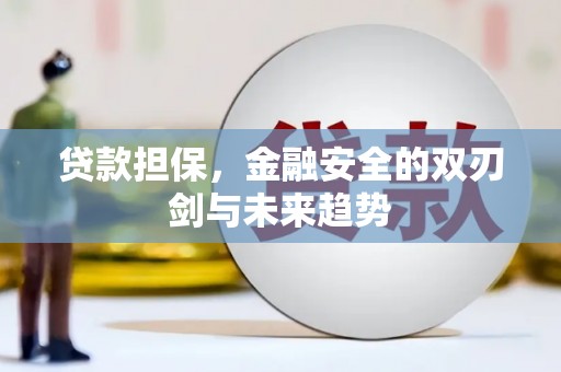 永宁贷款担保，金融安全的双刃剑与未来趋势