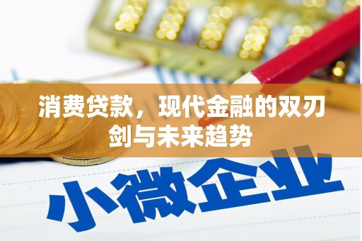 永宁消费贷款，现代金融的双刃剑与未来趋势
