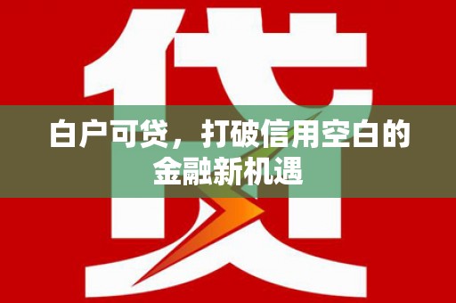 永宁白户可贷，打破信用空白的金融新机遇