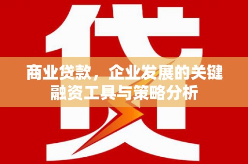 永宁商业贷款，企业发展的关键融资工具与策略分析