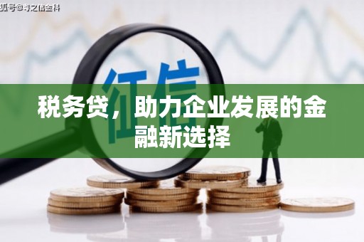 永宁税务贷，助力企业发展的金融新选择