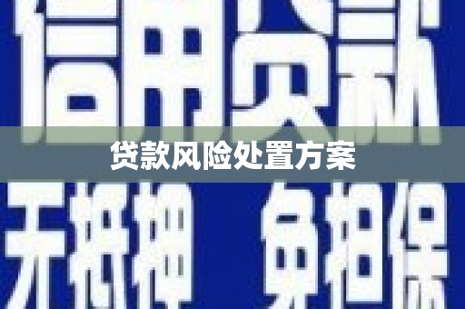 永宁贷款风险处置方案