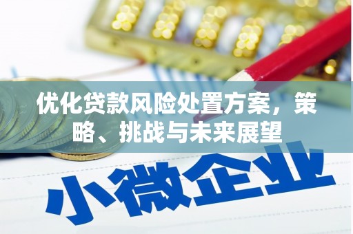 永宁优化贷款风险处置方案，策略、挑战与未来展望