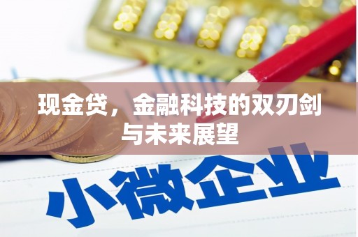 永宁现金贷，金融科技的双刃剑与未来展望