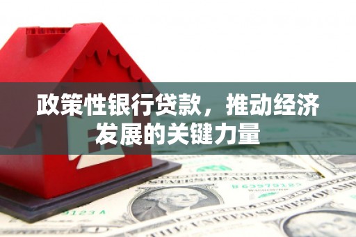 永宁政策性银行贷款，推动经济发展的关键力量