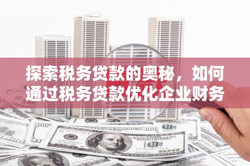 永宁探索税务贷款的奥秘，如何通过税务贷款优化企业财务