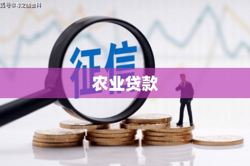 永宁农业贷款