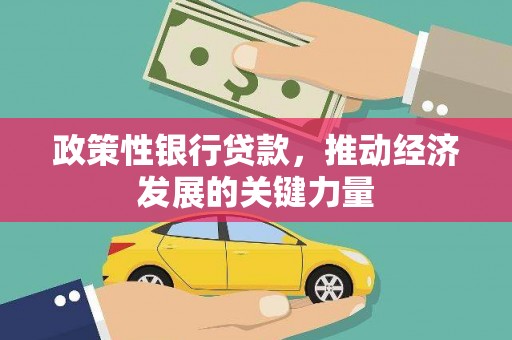 永宁政策性银行贷款，推动经济发展的关键力量