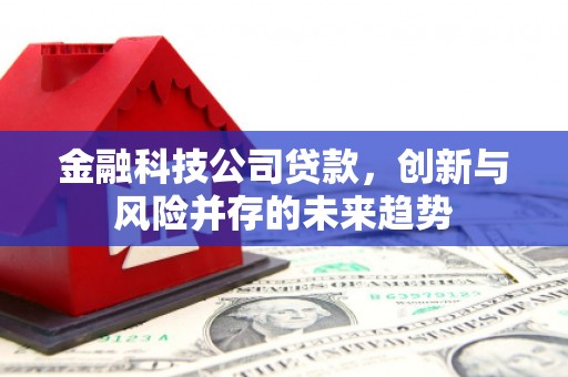 永宁金融科技公司贷款，创新与风险并存的未来趋势