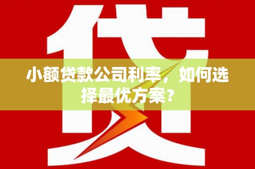 永宁小额贷款公司利率，如何选择最优方案？