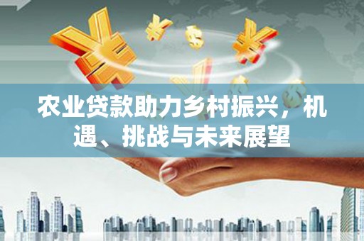 永宁农业贷款助力乡村振兴，机遇、挑战与未来展望