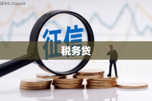 永宁税务贷