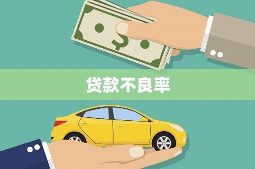 永宁贷款不良率